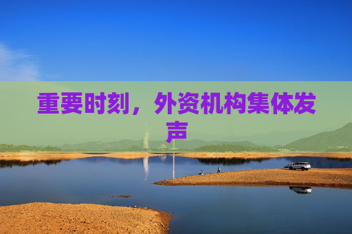 重要时刻，外资机构集体发声