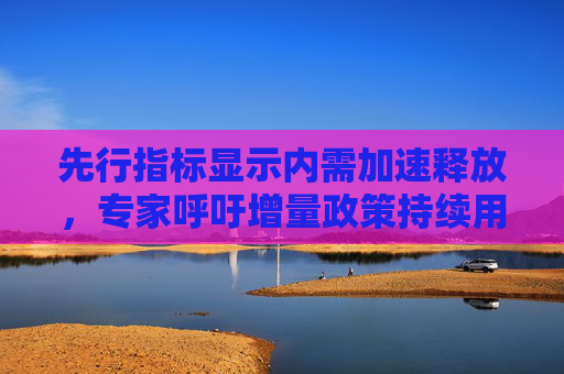 先行指标显示内需加速释放，专家呼吁增量政策持续用力