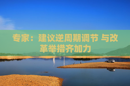 专家：建议逆周期调节 与改革举措齐加力