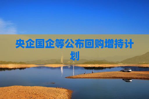 央企国企等公布回购增持计划