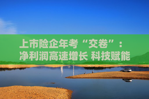 上市险企年考“交卷”： 净利润高速增长 科技赋能加速落地
