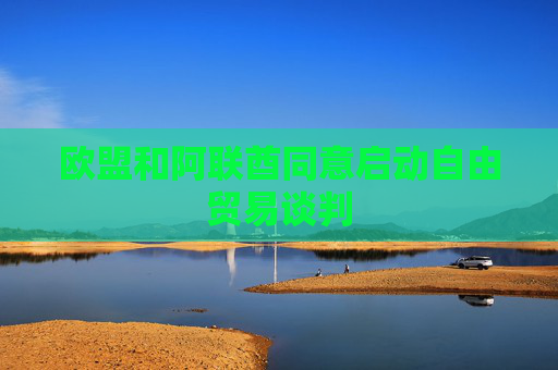 欧盟和阿联酋同意启动自由贸易谈判