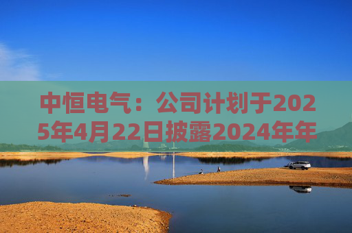 中恒电气：公司计划于2025年4月22日披露2024年年度报告