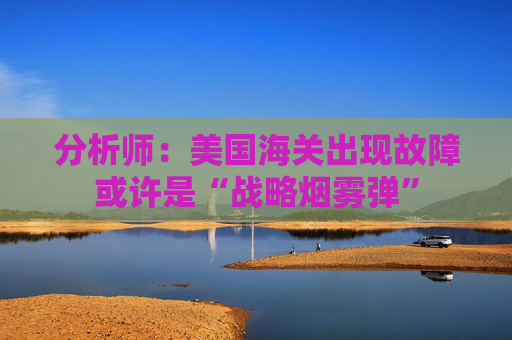 分析师：美国海关出现故障或许是“战略烟雾弹”