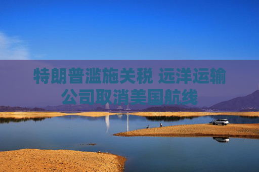 特朗普滥施关税 远洋运输公司取消美国航线