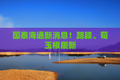 国泰海通新消息！路颖、荀玉根履新