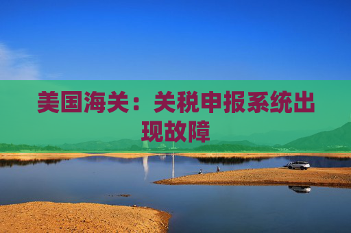 美国海关：关税申报系统出现故障