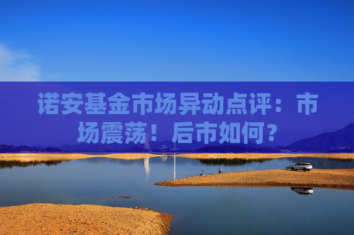 诺安基金市场异动点评：市场震荡！后市如何？