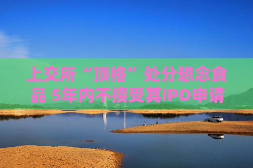 上交所“顶格”处分想念食品 5年内不接受其IPO申请