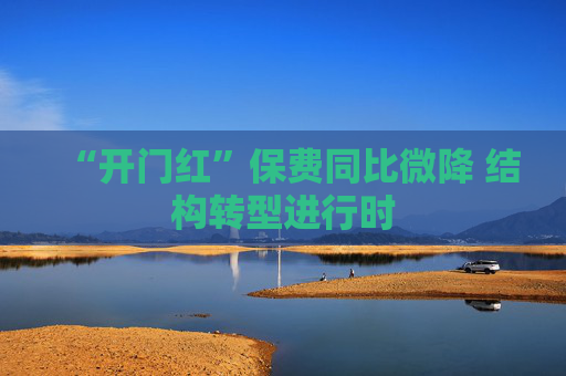 “开门红”保费同比微降 结构转型进行时