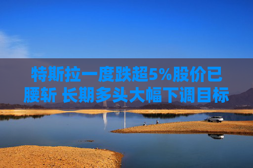 特斯拉一度跌超5%股价已腰斩 长期多头大幅下调目标价