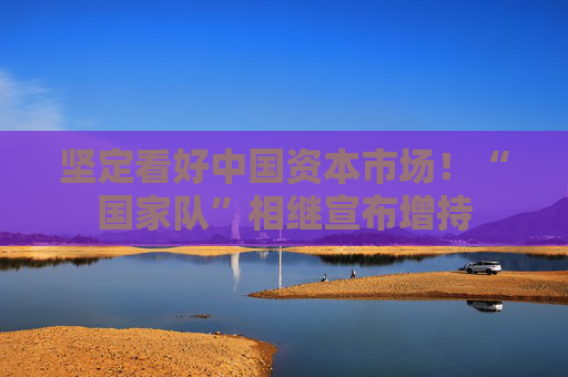 坚定看好中国资本市场！“国家队”相继宣布增持