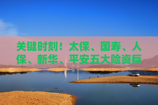 关键时刻！太保、国寿、人保、新华、平安五大险资巨头积极响应