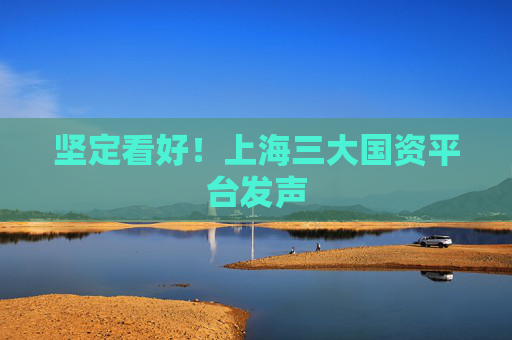 坚定看好！上海三大国资平台发声