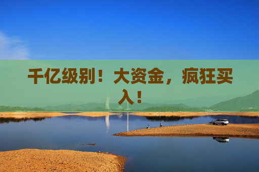 千亿级别！大资金，疯狂买入！