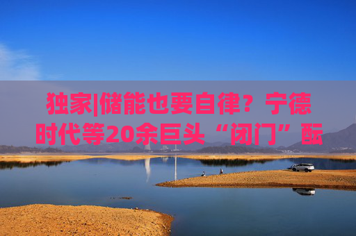独家|储能也要自律？宁德时代等20余巨头“闭门”酝酿倡议