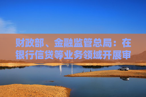 财政部、金融监管总局：在银行信贷等业务领域开展审计报告批量查验试点