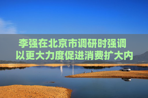 李强在北京市调研时强调 以更大力度促进消费扩大内需做强国内大循环