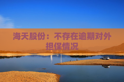 海天股份：不存在逾期对外担保情况