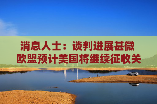 消息人士：谈判进展甚微 欧盟预计美国将继续征收关税