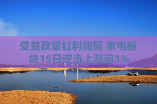 受益政策红利加码 家电板块15日逆市上涨逾1%