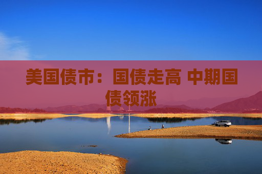 美国债市：国债走高 中期国债领涨