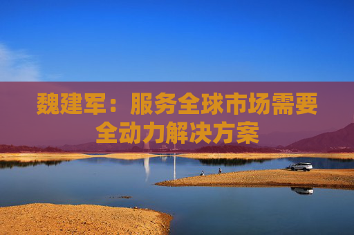 魏建军：服务全球市场需要全动力解决方案
