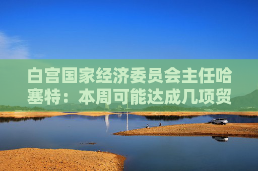 白宫国家经济委员会主任哈塞特：本周可能达成几项贸易协议