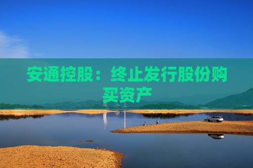 安通控股：终止发行股份购买资产