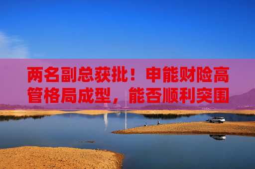 两名副总获批！申能财险高管格局成型，能否顺利突围？