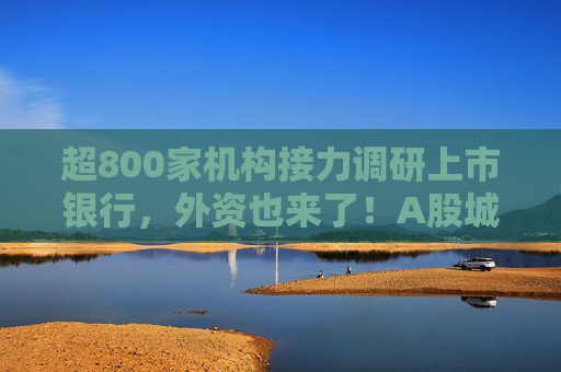 超800家机构接力调研上市银行，外资也来了！A股城商行最受宠，有何吸引力