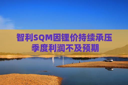 智利SQM因锂价持续承压 季度利润不及预期