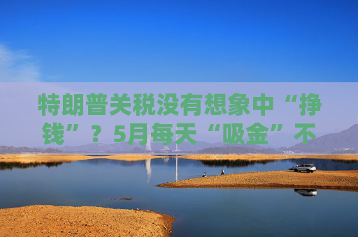特朗普关税没有想象中“挣钱”？5月每天“吸金”不到10亿美元