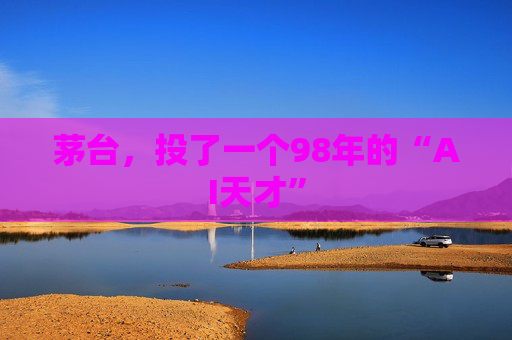 茅台，投了一个98年的“AI天才”