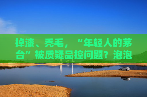 掉漆、秃毛，“年轻人的茅台”被质疑品控问题？泡泡玛特回应！