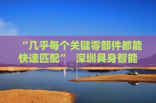 “几乎每个关键零部件都能快速匹配”  深圳具身智能生态先行一步