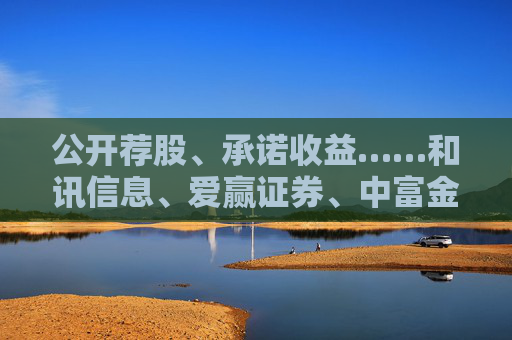 公开荐股、承诺收益……和讯信息、爱赢证券、中富金石等多家第三方投顾被罚