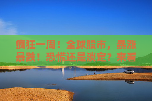 疯狂一周！全球股市，暴涨暴跌！恐慌还是淡定？来看历史答案