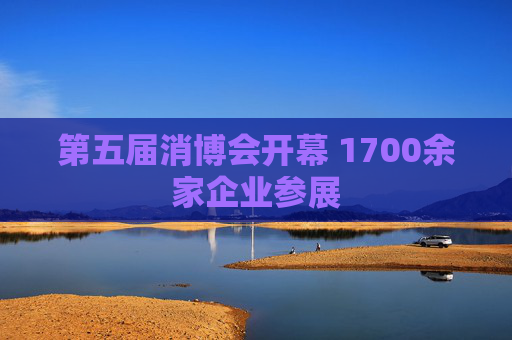 第五届消博会开幕 1700余家企业参展