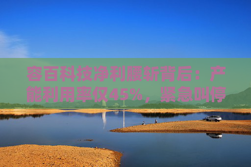 容百科技净利腰斩背后：产能利用率仅45%，紧急叫停扩产项目