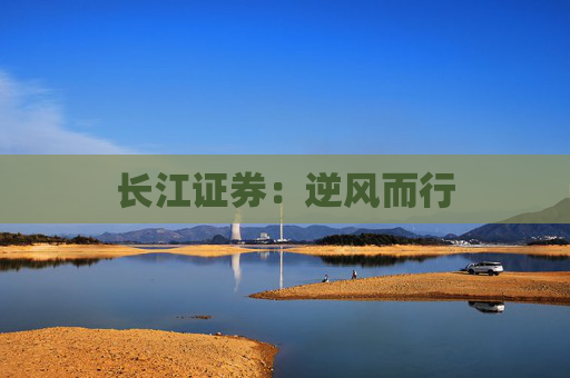 长江证券：逆风而行