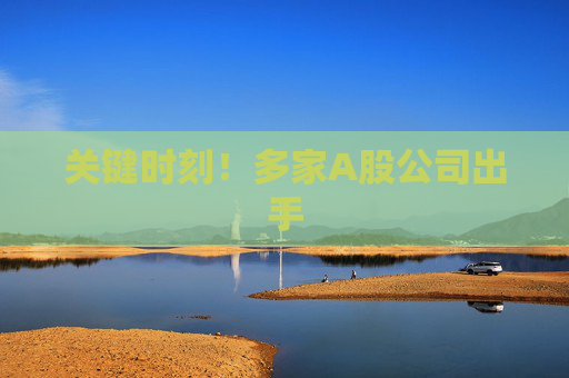 关键时刻！多家A股公司出手