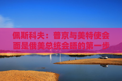 佩斯科夫：普京与美特使会面是俄美总统会晤的第一步