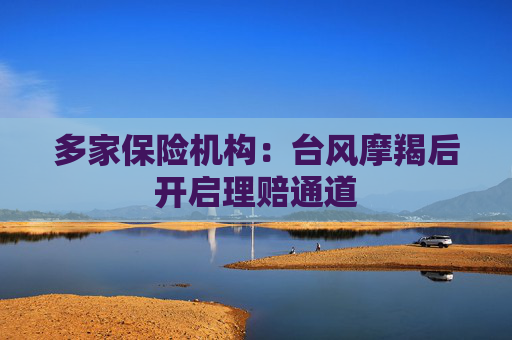 多家保险机构：台风摩羯后开启理赔通道