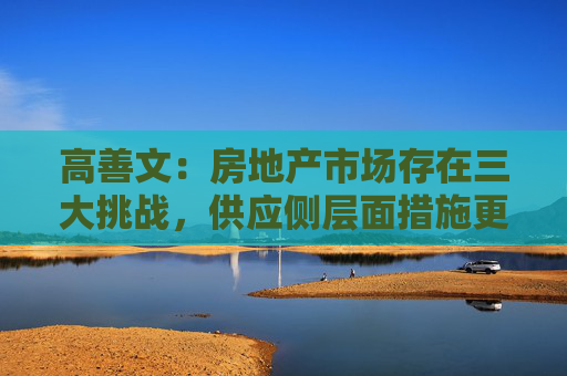 高善文：房地产市场存在三大挑战，供应侧层面措施更重要