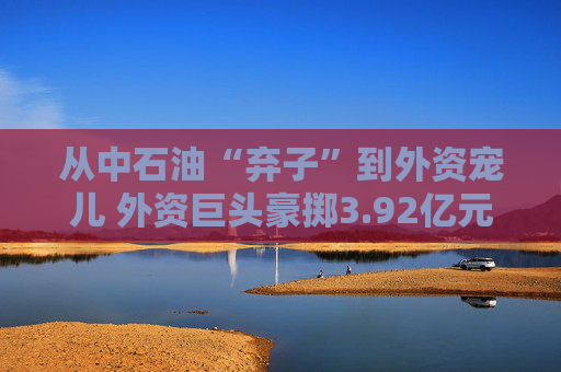 从中石油“弃子”到外资宠儿 外资巨头豪掷3.92亿元“输血”中意财险