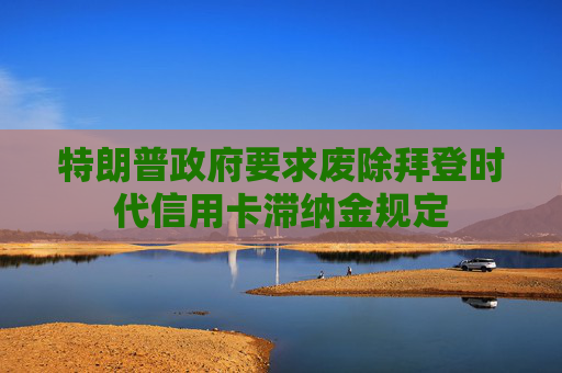 特朗普政府要求废除拜登时代信用卡滞纳金规定
