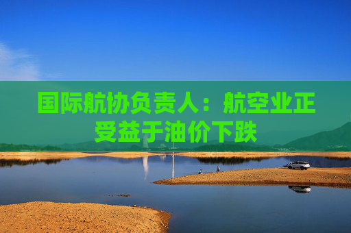 国际航协负责人：航空业正受益于油价下跌