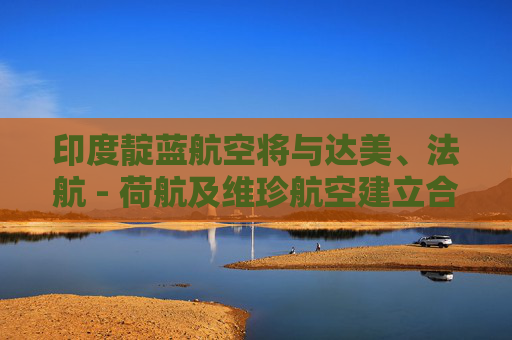 印度靛蓝航空将与达美、法航 - 荷航及维珍航空建立合作