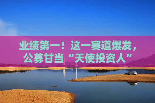 业绩第一！这一赛道爆发，公募甘当“天使投资人”